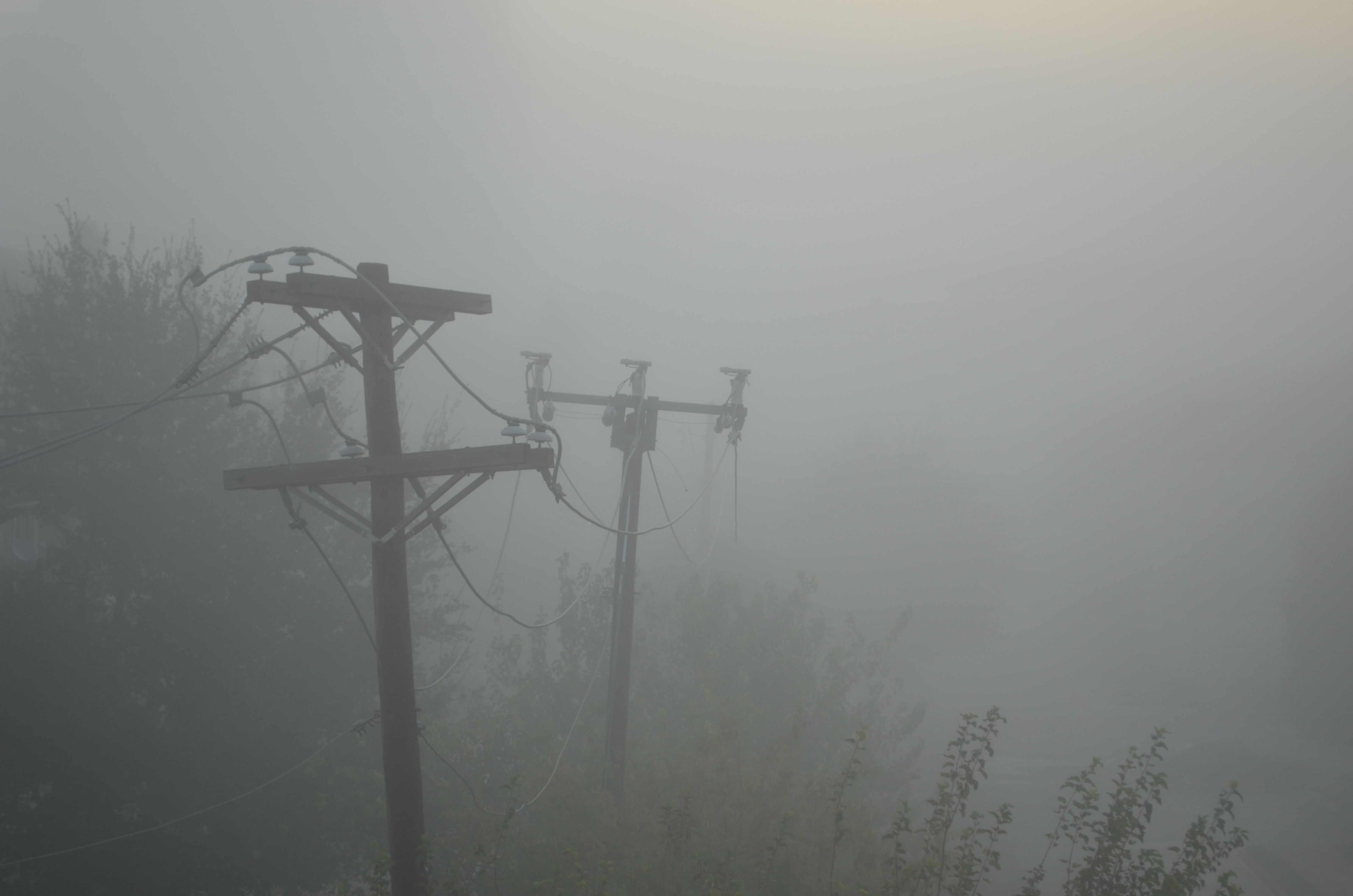 El museo de la incertidumbre